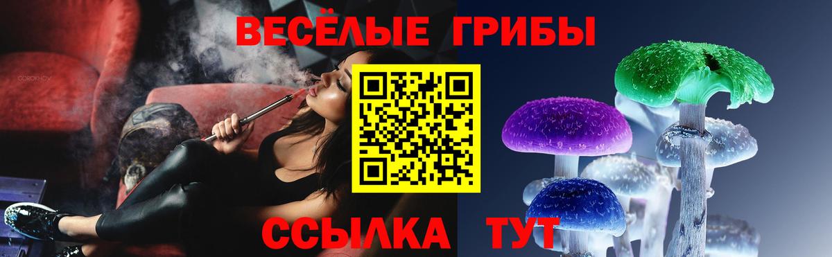 Галлюциногенные грибы Psilocybine cubensis Ефремов
